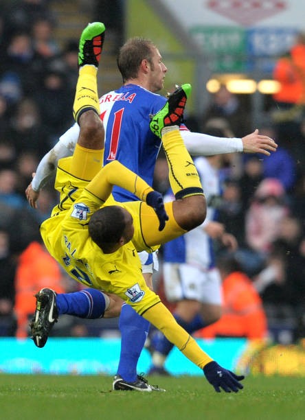 杨一如既往 杨一如既往